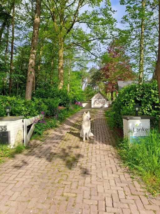 Lanke Garden Studio Rijsbergen Dış mekan fotoğraf